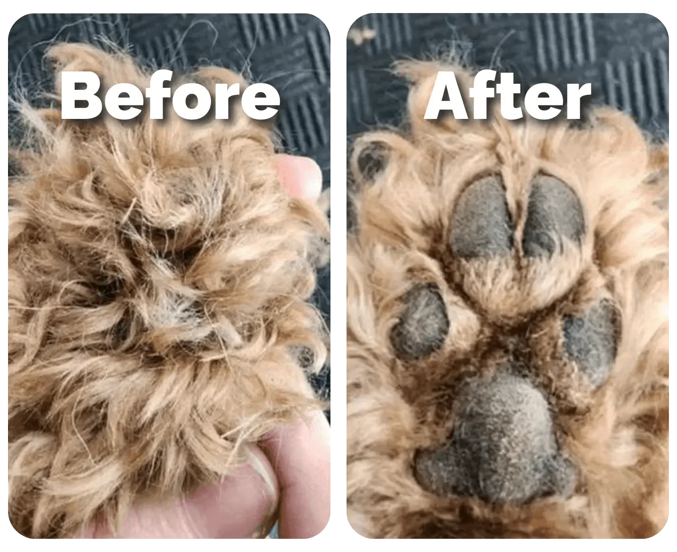 Pawtrim