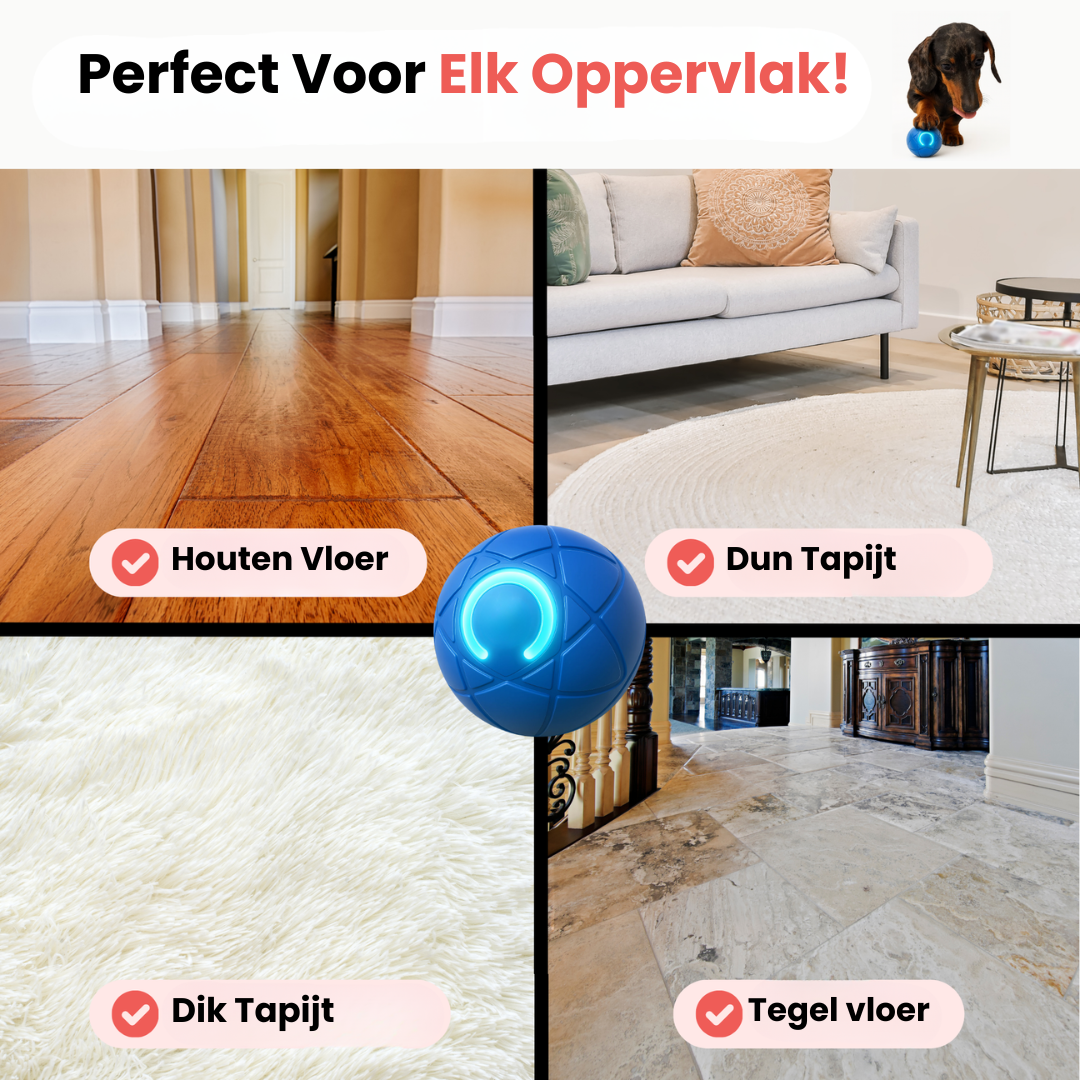 Huisdier & Co™ - Bounce Buddy