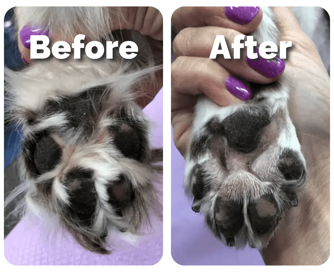 Pawtrim
