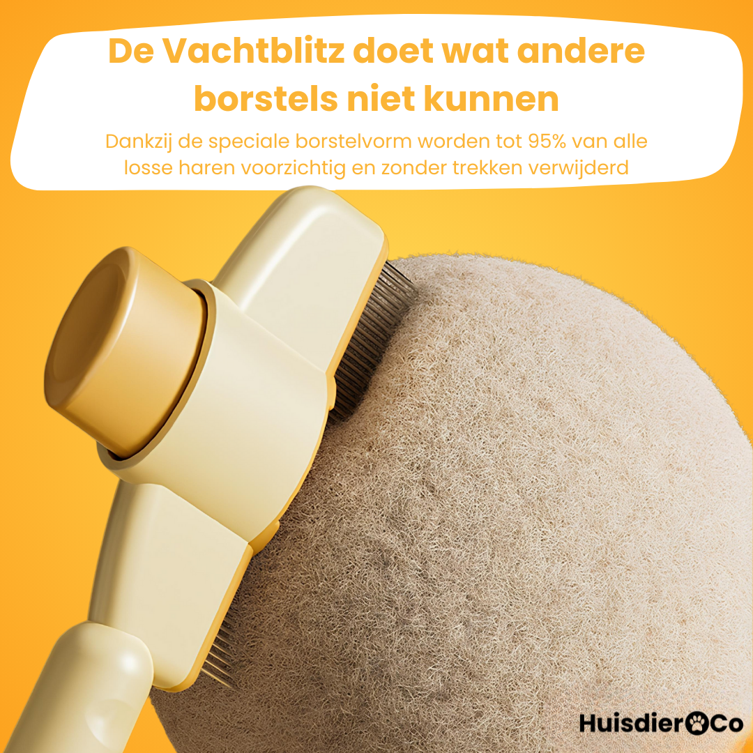 Vachtblitz