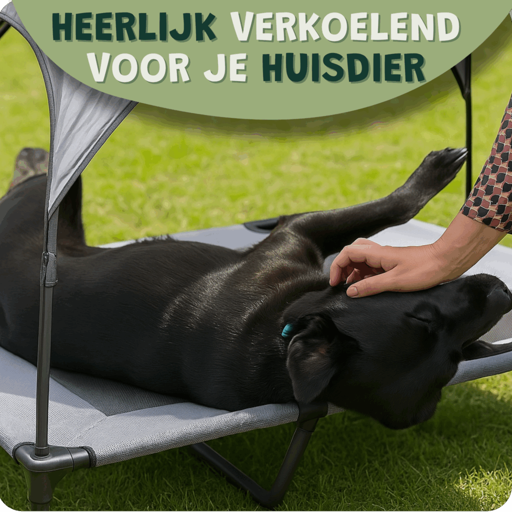 PawLounge