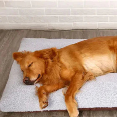 ComfyRest