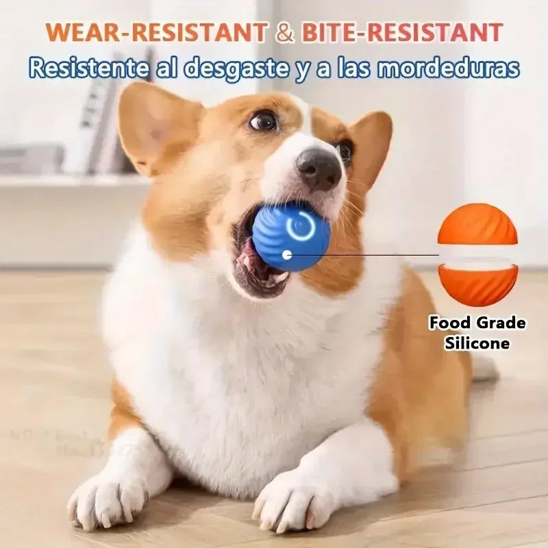 BounceBuddy