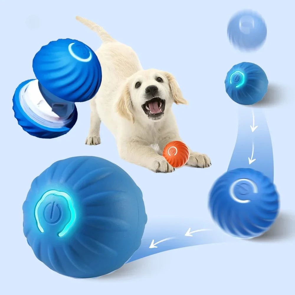 BounceBuddy