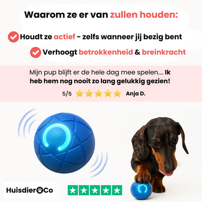 Huisdier & Co™ - Bounce Buddy