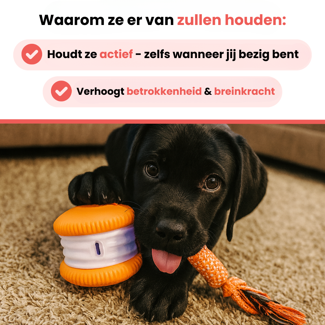 Huisdier & Co™ - All-Day Buddy