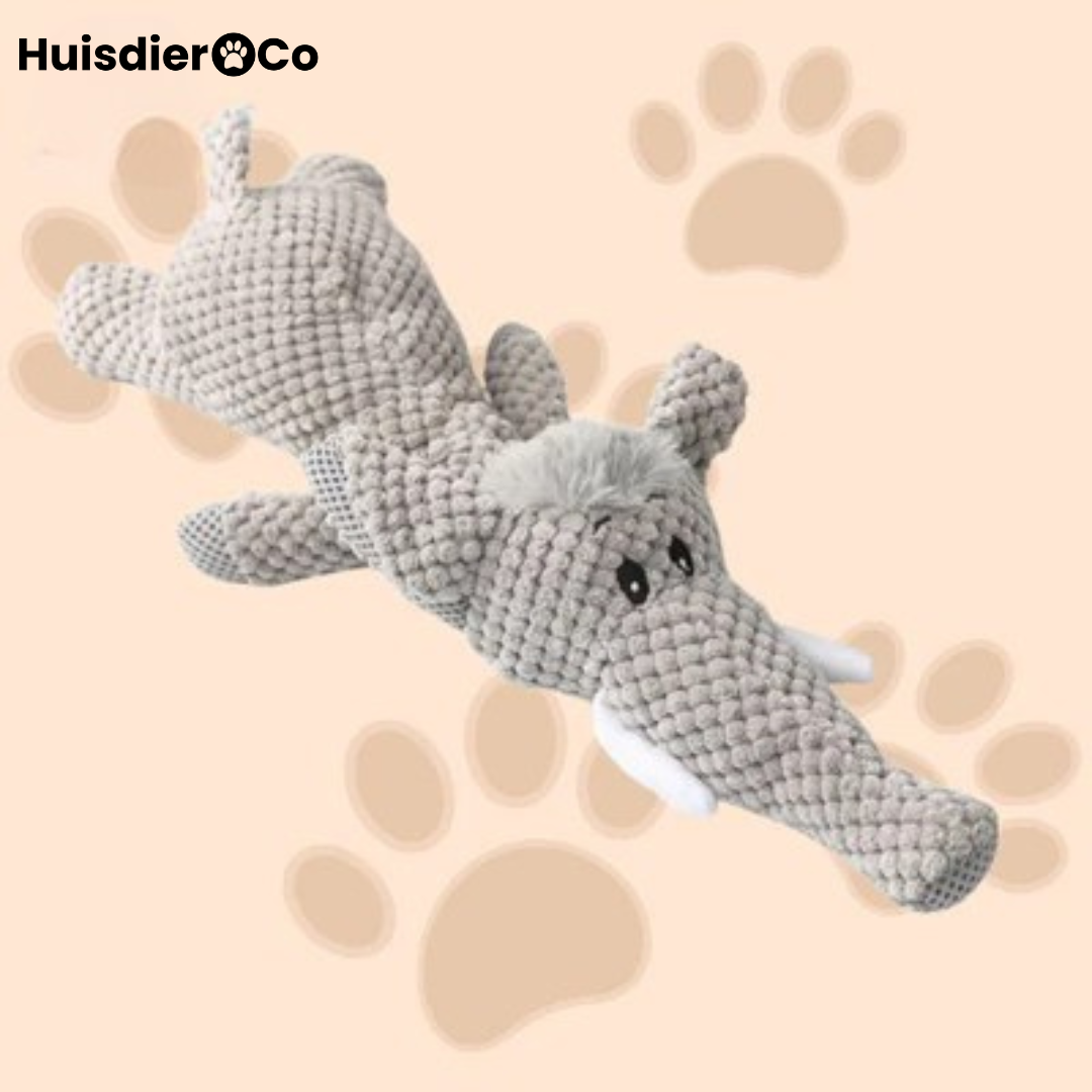 Huisdier & Co™ - Chew Animal