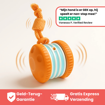 Huisdier & Co™ - All-Day Buddy