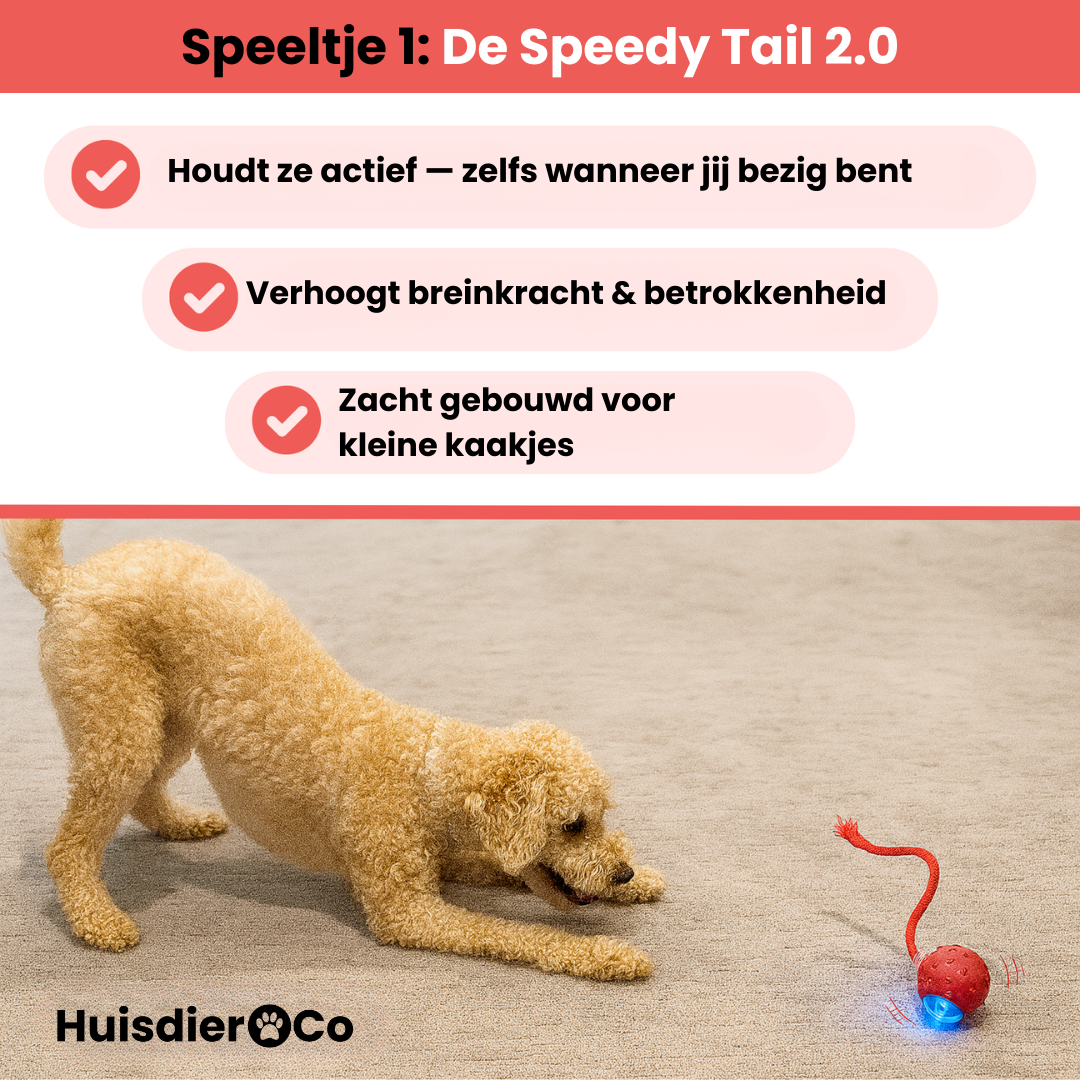 Huisdier & Co™ - Ultieme Stimulatie Bundel