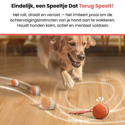 Huisdier & Co™ - All-Day Buddy