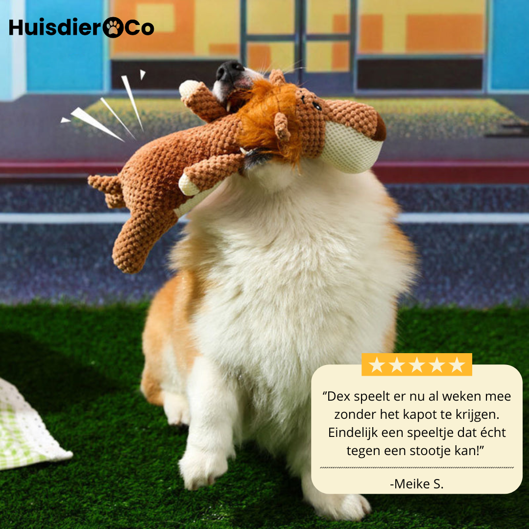 Huisdier & Co™ - Chew Animal