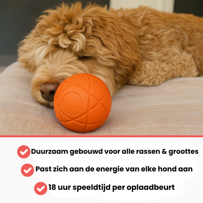 Huisdier & Co™ - Bounce Buddy