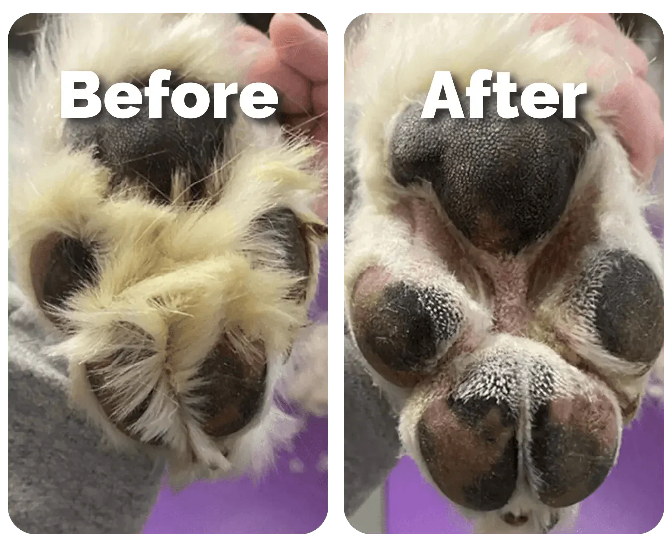 Pawtrim