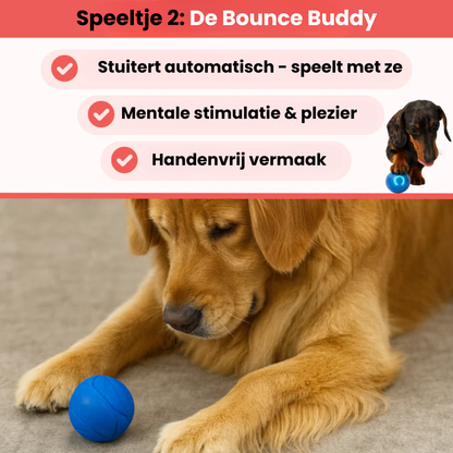 Huisdier & Co™ - Ultieme Stimulatie Bundel