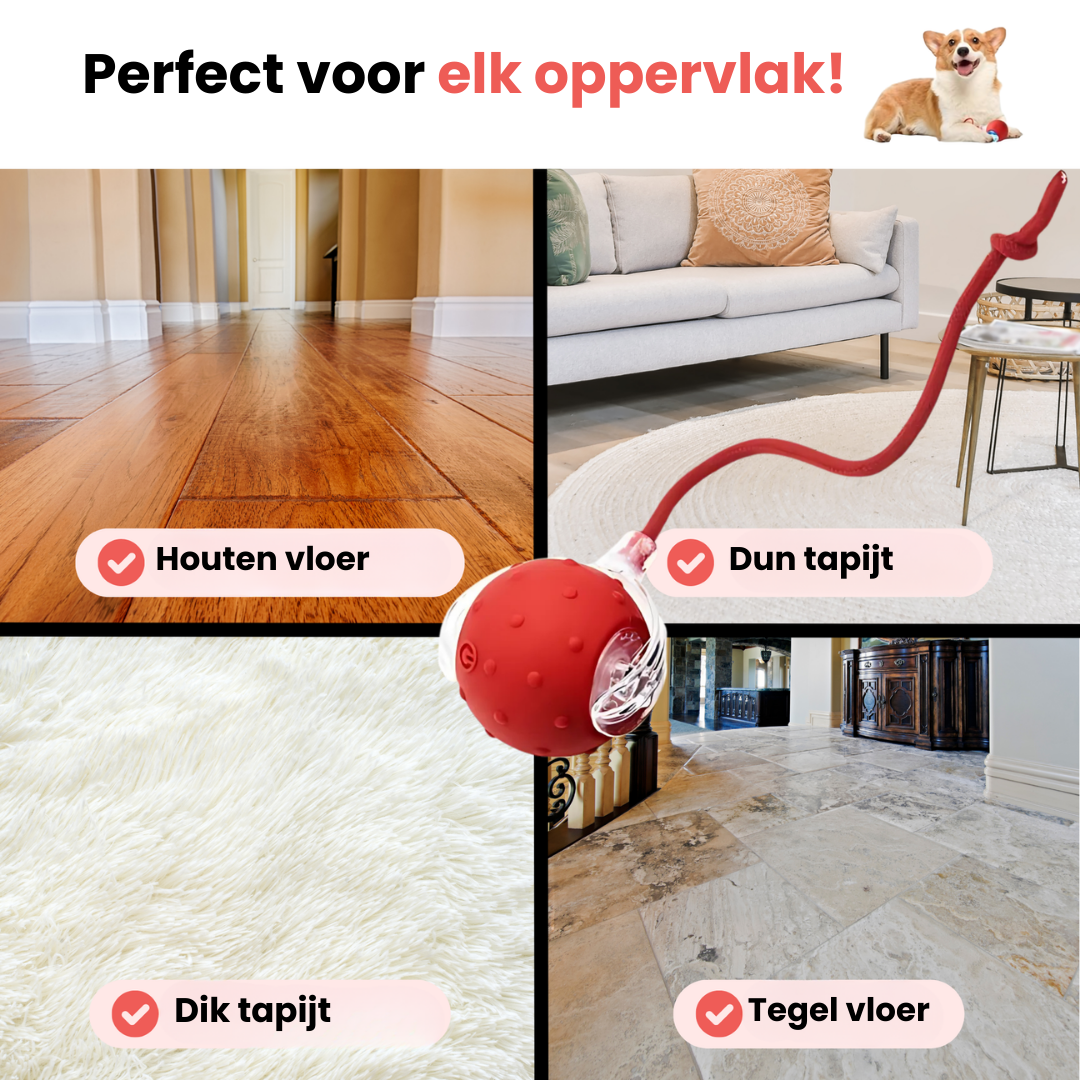 Huisdier & Co™ - Speedy Tail 2.0