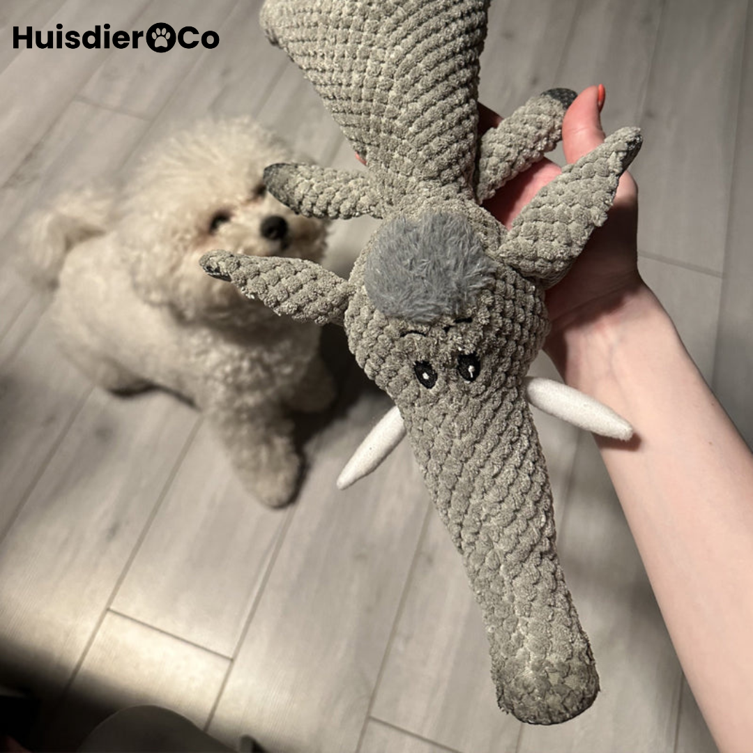 Huisdier & Co™ - Chew Animal