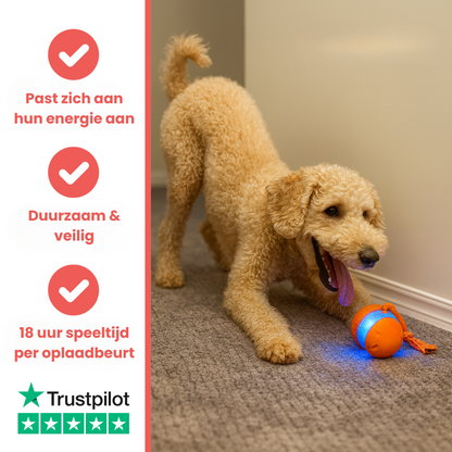 Huisdier & Co™ - All-Day Buddy