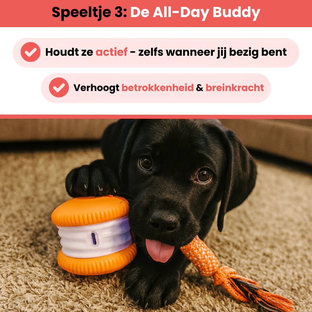 Huisdier & Co™ - Ultieme Stimulatie Bundel