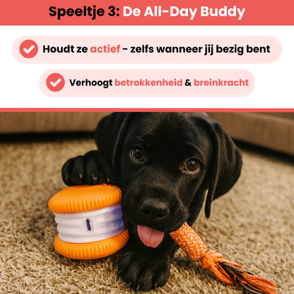 Huisdier & Co™ - Ultieme Stimulatie Bundel