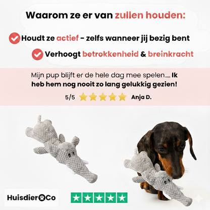 Huisdier & Co™ - Chew Animal