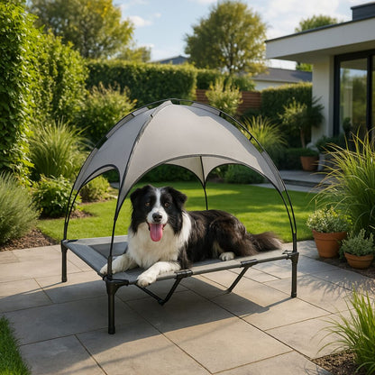 PawLounge