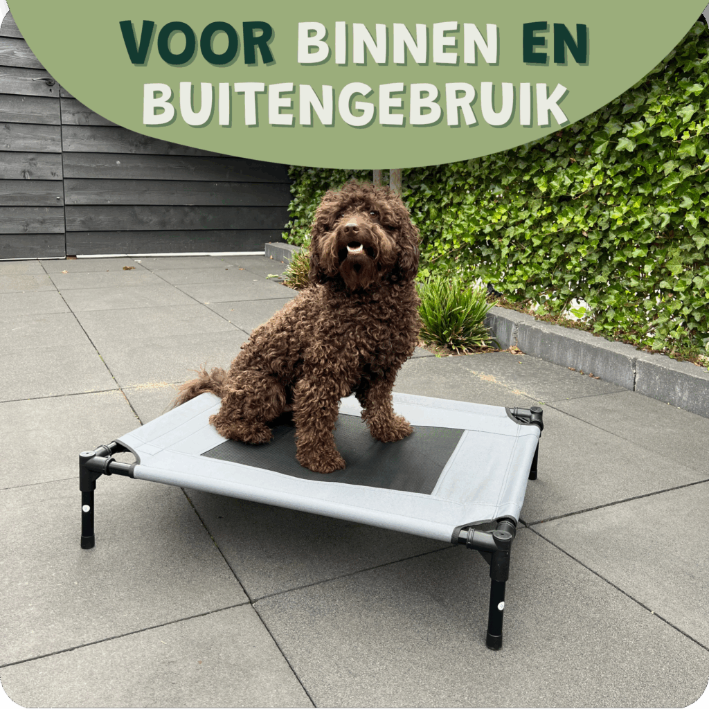 PawLounge