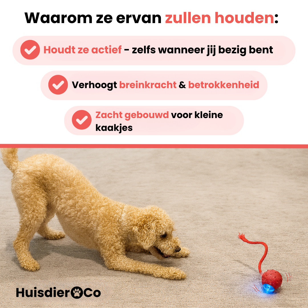 Huisdier & Co™ - Speedy Tail 2.0