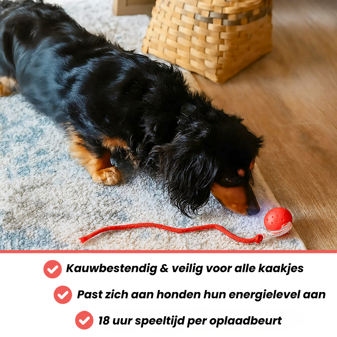 Huisdier & Co™ - Speedy Tail 2.0