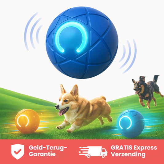 Huisdier & Co™ - Bounce Buddy