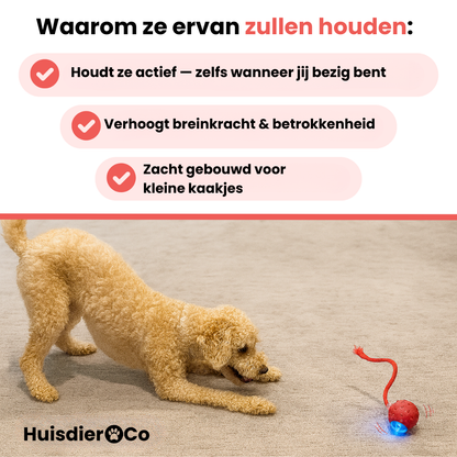 Huisdier & Co™ - Speedy Tail 2.0