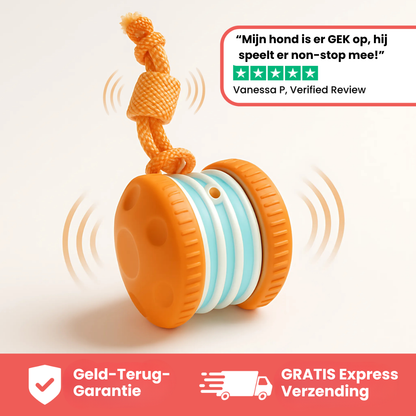 Huisdier & Co™ - All-Day Buddy