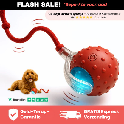 Huisdier & Co™ - Speedy Tail 2.0