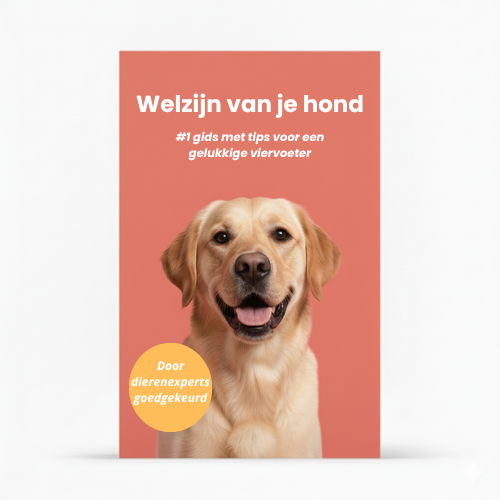 E-book: Essentiële Tips voor een Gelukkige en Gezonde Hond