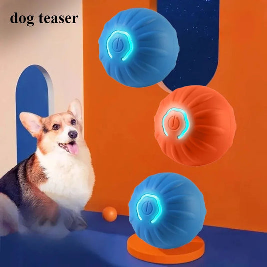 BounceBuddy